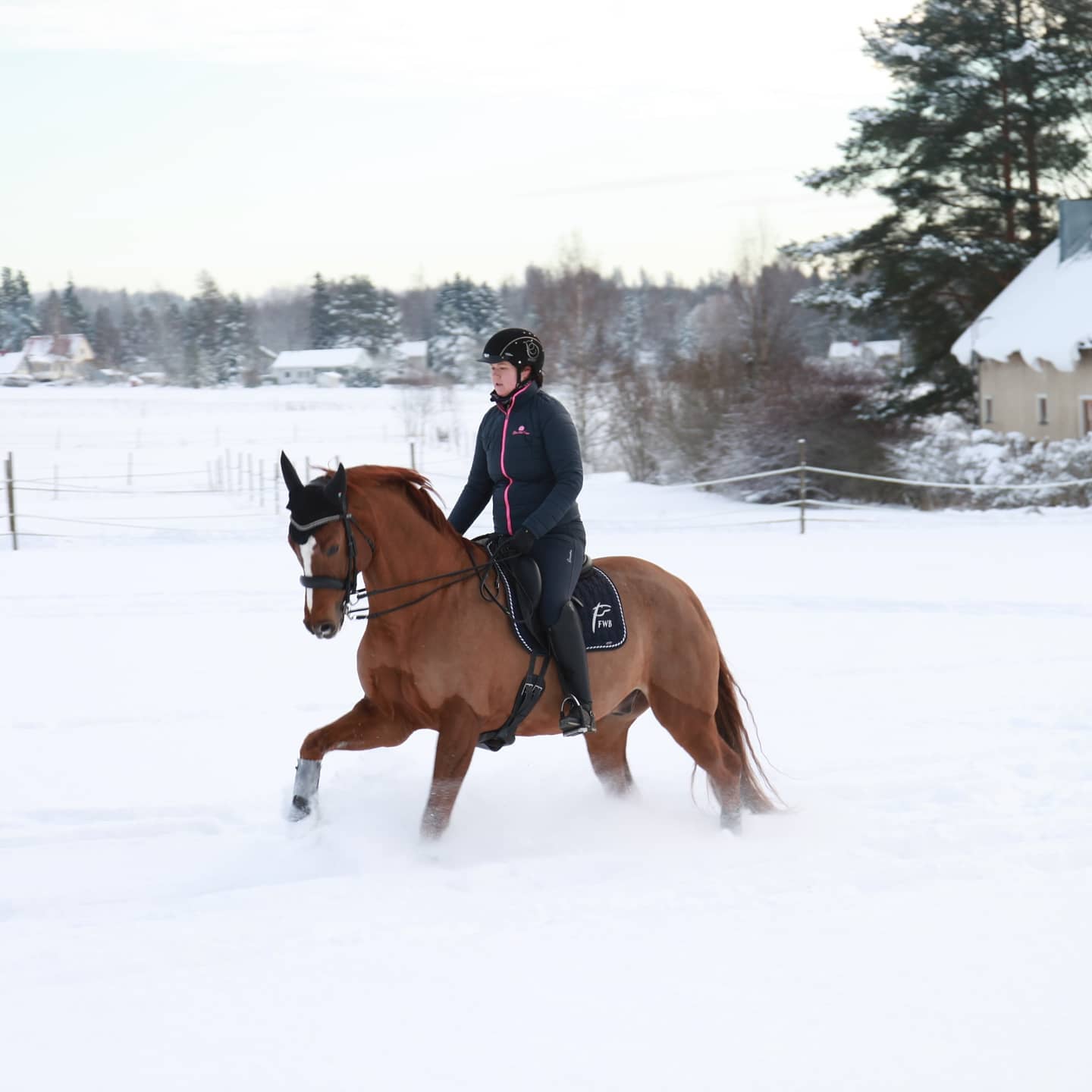 Kawerda's Fiandro ja Katja Laine